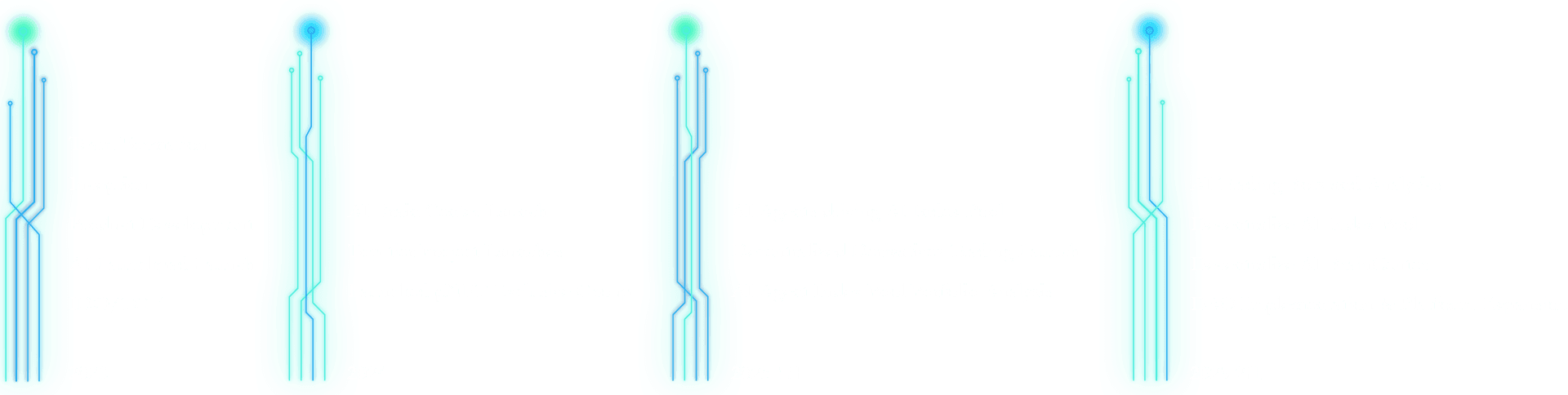Roadmap